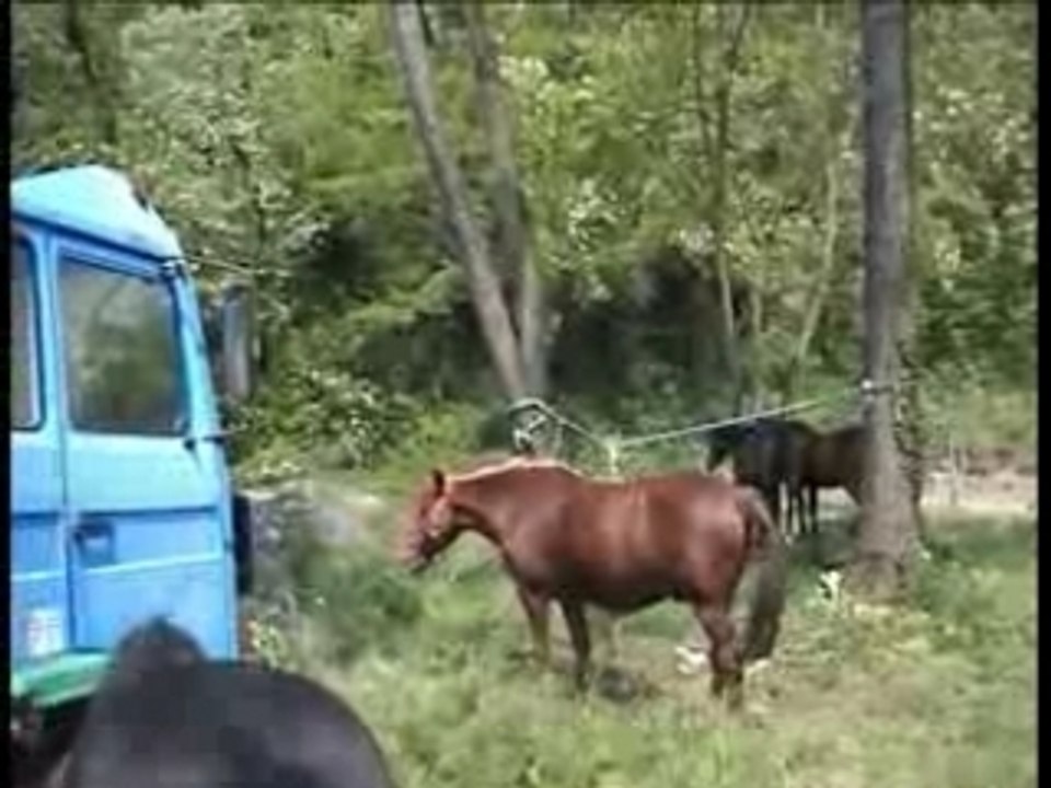 Pique nique cransac 06.05.07