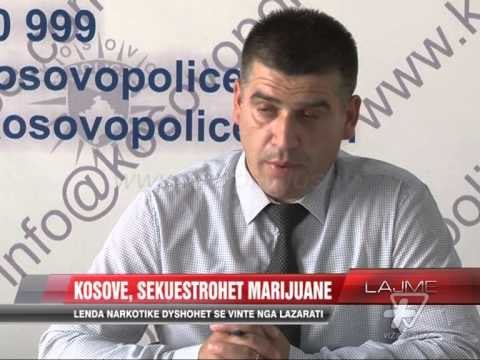 Policia e Kosovës aksion antidrogë - News, Lajme - Vizion Plus