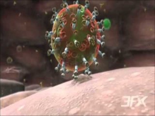 SEMUNDJA E SIDAS STUDIUESIT PO PERPIQEN QE TA ZBULOJNE QE NE FAZAT FILLESTARE LAJM