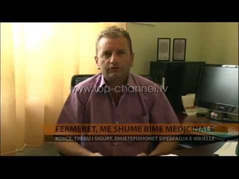 Fermerët, më shumë bimë medicinale - Top Channel Albania - News - Lajme