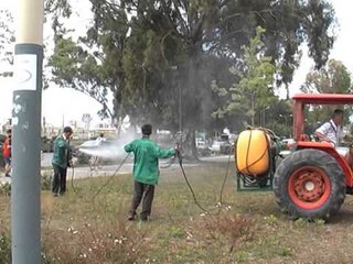 DEZINSEKTOHEN LULISHTET ZHVILLOHET AKSIONI I PARE NE QYTETIN E DURRESIT PAS 20 VITESH LAJM