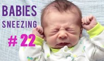 Funny Babies Sneezing Video Compilation 2015 , # 22