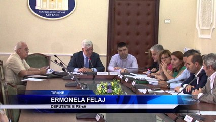 LIGJI PER POLICINE, FJALEN E FUNDIT E THOTE KOMISIONI I SIGURISE