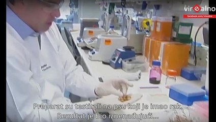 Gdje se može nabaviti ovo voce kod nas?