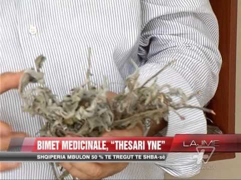Bimët medicinale, thesari ynë - News, Lajme - Vizion Plus