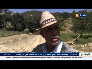 أهم و أخر أخبار المجتمع الجزائري في الموجز المحلي