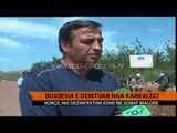 Korçë, bujqësia e dëmtuar nga karkaleci - Top Channel Albania - News - Lajme