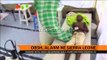 Ebola, alarm në Sierra Leone - Top Channel Albania - News - Lajme