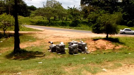 In Srilanka, Goats Gets Special Resting Parks With Custom Built Couches