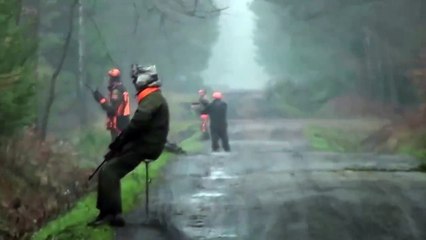Chasse au sanglier et Tir à la Ligne !