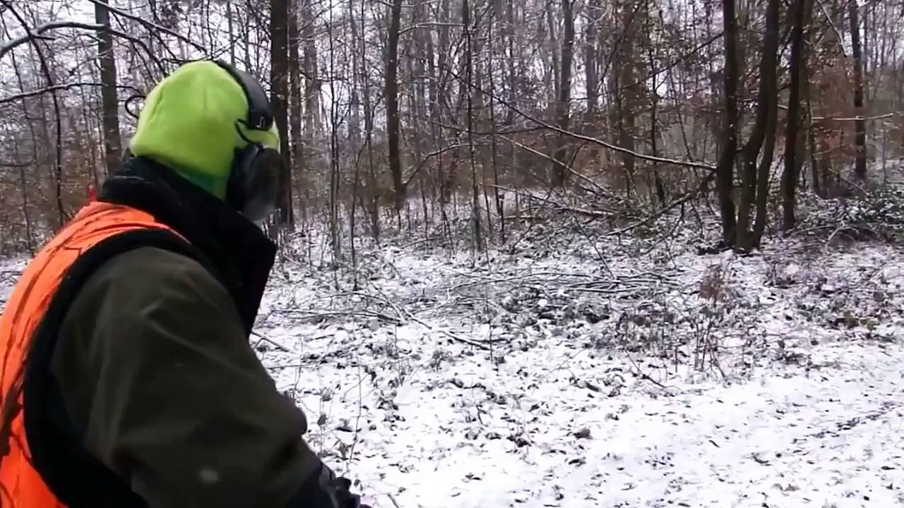 Battue Aux Grands Gibiers en Hongrie