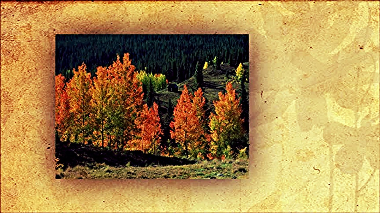 Zora Drempetic - Zasto Sike, zasto