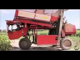 Wow Itni Traqqi Best Ye Angrez Kia Kia Banaye Gain HD