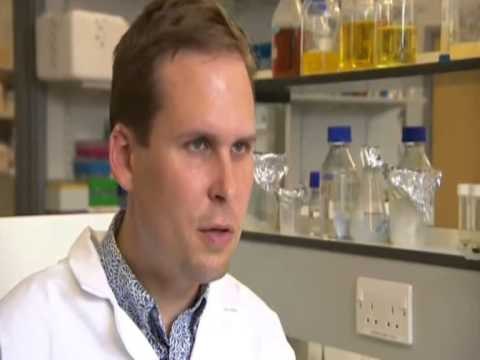 VIRUSI VDEKJEPRURES SITUATA NGA “EBOLA” EMERGJENTE, VAKSINA GATI VETEM NE VITIN 2015 LAJM