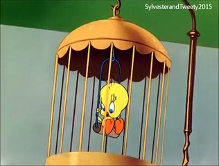 Sylvester and Tweety in A BIRD IN A GUILTY CAGE Part 3
