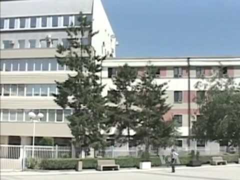 HETIMET PER TERRORIZMIN PRITET ARRESTIMI I 20 TE DYSHUARVE TE TJERE NGA POLICIA E KOSOVES LAJM