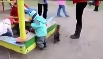 Кот охраняет детей от собаки