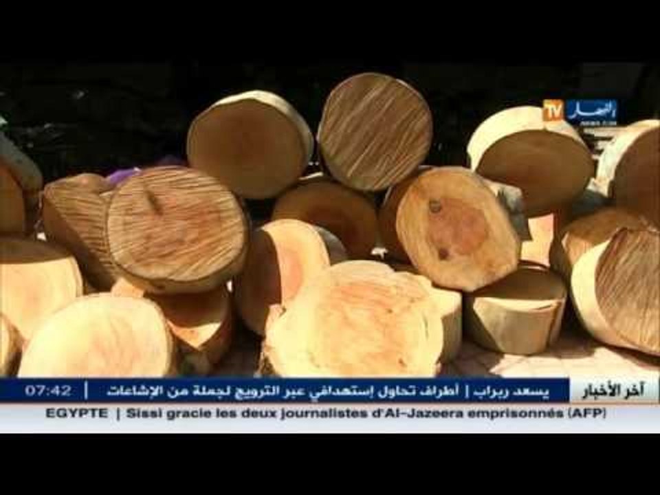 تجارة الفحم..جشع تجار غيرشرعيين على حساب الثروة الغابية