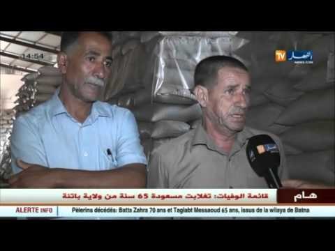 عين تيموشنت: وفرة في إنتاج الحبوب رغم نقص الإمكانيات