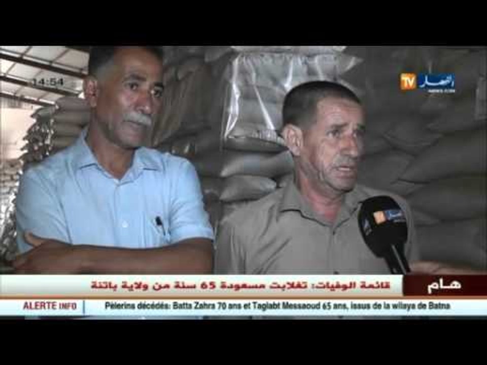 عين تيموشنت: وفرة في إنتاج الحبوب رغم نقص الإمكانيات