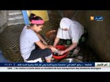 قسنطينة : السكان يحافظون على عادات وتقاليد مميزة في عيد الأضحى