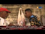 قناة النهار ترافق لاعب نصر حسين داي بن دبكة في نحر أضحية العيد