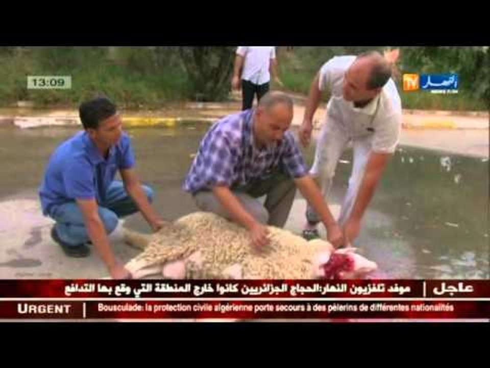 غرداية: ديوان الخدمات الجامعية تحيي أول أيام العيد مع الطلبة الأجانب المقيمين