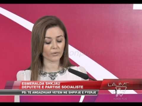“Basha të japë dorëheqjen” - News, Lajme - Vizion Plus