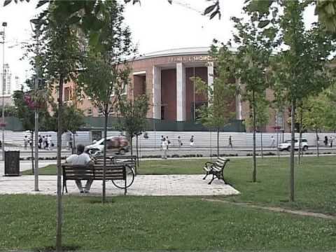 ISH DREJTORI I THESARIT ÇOLLAKU MOHON DIJENINE PER VJEDHJEN DHE KA ZBATUAR LIGJIN LAJM