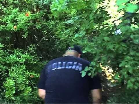 150 POLICE DHE DY HELIKOPTERE NISIN NJE AKSION TE MADH ANTIDROGE NE ZONEN E DUKAGJINIT NE VERI LAJM