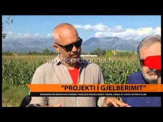 “Projekti i gjelbërimit” - Top Channel Albania - News - Lajme