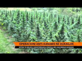 Dukagjin, aksioni në ditën e katërt - Top Channel Albania - News - Lajme