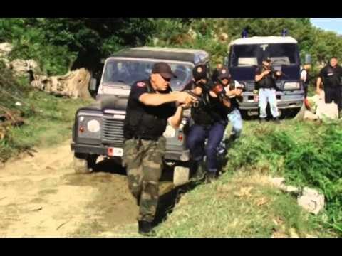 POLICIA VIJON OPERACIONIN ANTIKANABIS NE DUKAGJIN, PASTROHEN DISA FSHATRA NGA DROGA LAJM