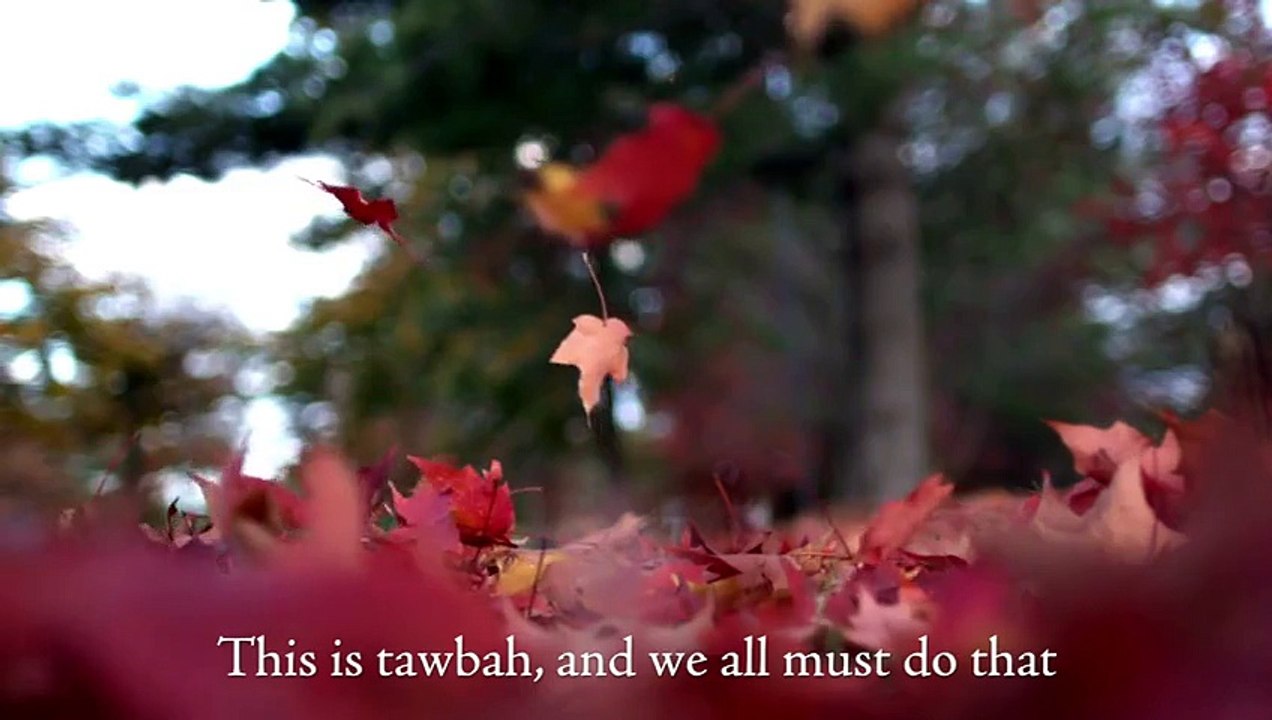 One Way Out Shaykh Tauqeer Chaudhary