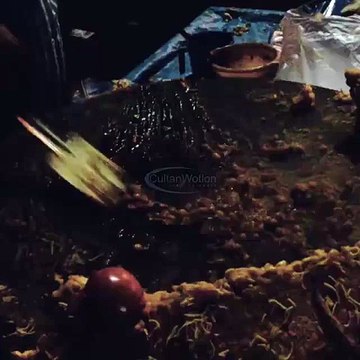 Indian Street Food Kolkata l Street Food Indian l Best Indian Street Food