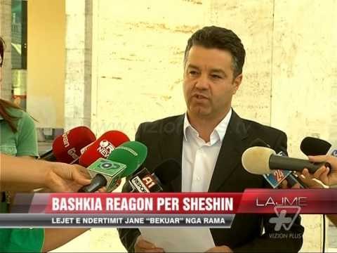 PD për sheshin “Nënë Tereza” - News, Lajme - Vizion Plus
