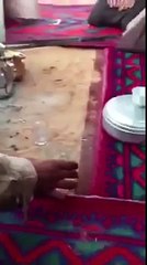 (VIDEO) REAKSI ANAK YANG DIBOHONGI MINUM SUSU DICAMPUR URINE / VIDEO LUCU