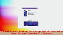 The Dying Soul Spiritual Care at the End of Life Facing Death Series Paperback  Download