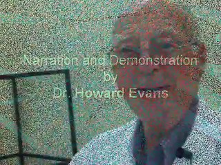 Fish Internal Anatomy Part 1