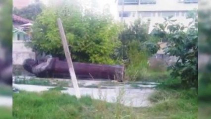 KUMBARO REAGON PER SHTATOREN E NENE TEREZES