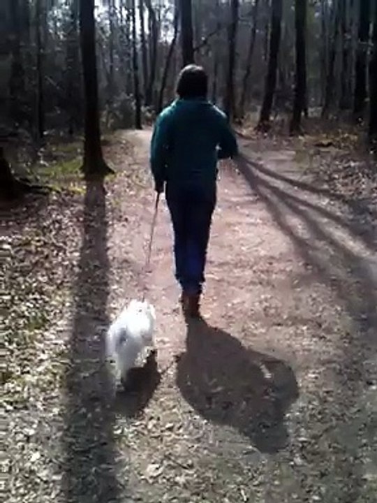 Promenade Jeyko - 26/03/2015
