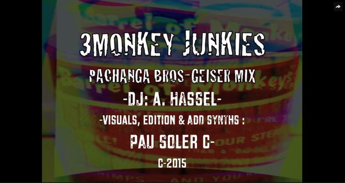 SAME HEADS & 3MONKYJUNK-PAXANGABROSGEISERMINUS MIX / A . HASSEL - TRAKTOR CONTR. & SYNTHS -/- PAU SOLER C./ SYNTHS & VISUALS