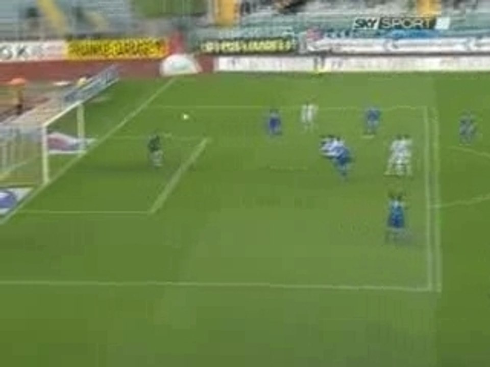 2-1 Spinesi