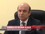 Sëmundja që rrezikon ullinjtë - News, Lajme - Vizion Plus