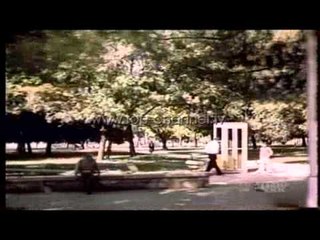 Historiku i muajit te mjaltit ne Shqiperi - Top Channel Albania - News - Lajme