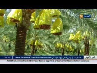 بسكرة: حرمان تام لسكان حي عين خديجة بطولقة بسبب الوضعية القانونية للحي