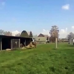 When I wake Up And Realize I'm Going Riding my Bike