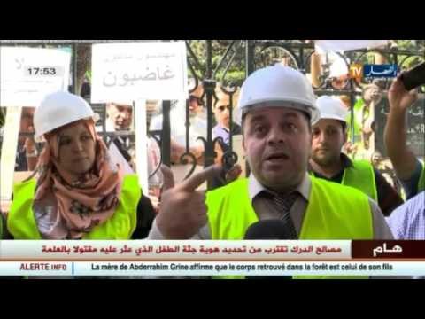 سكن: العمران و إشكالية الفصل بين المهندسين المدنيين و المعماريين
