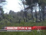 Rehabilitimi i pyjeve në Fier - News, Lajme - Vizion Plus