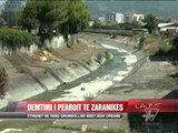 Dëmtimi i përroit te Zaranikes - News, Lajme - Vizion Plus